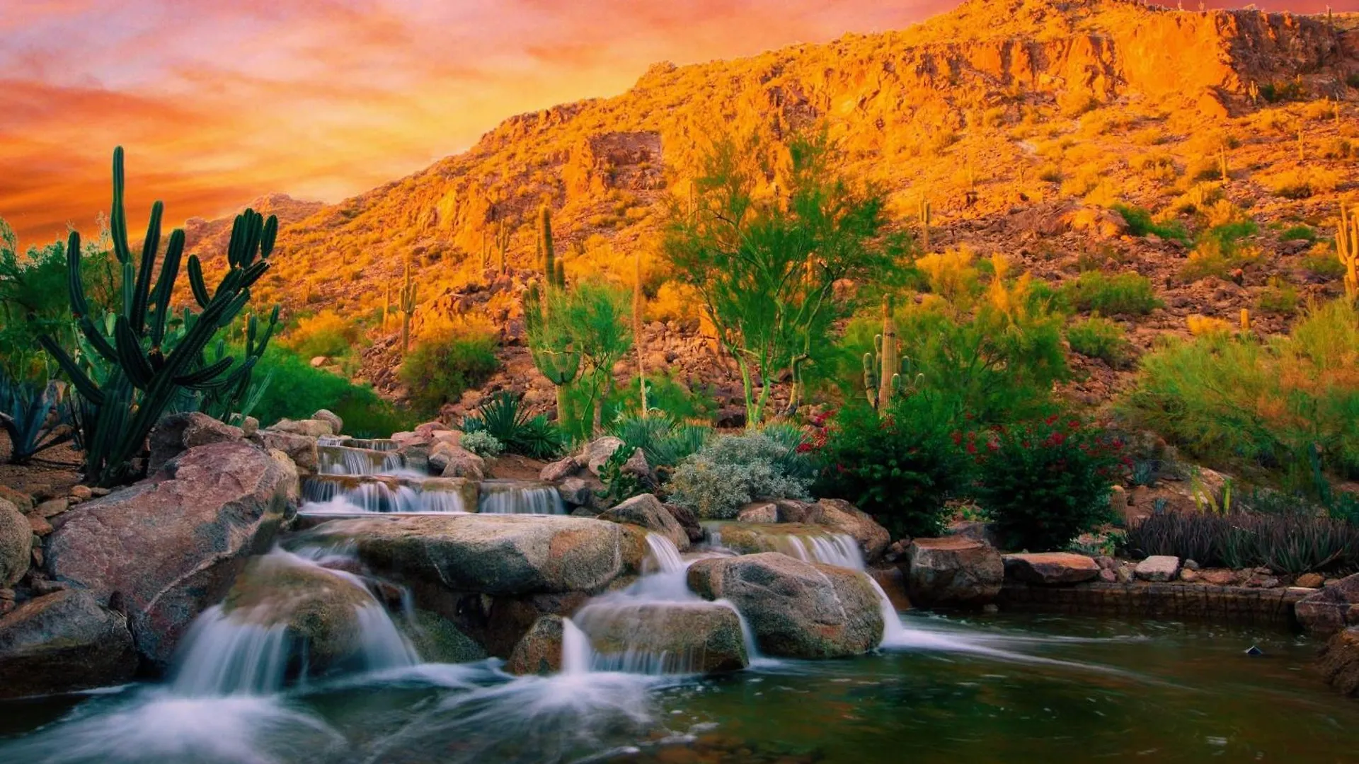 Resort The Canyon Suites At The Phoenician, A Luxury Collection Resort, Scottsdale Paradise Valley